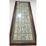 Cigarette cards: A set of John Player and Sons cigarette cards, cricketers caricatures