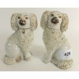 A pair of Staffordshire pottery dogs, approx 12cm high