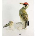 A Karl Ens woodpecker and a similar green bird