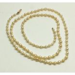 A string of pearls with imitation seed pearl spacers on a 9 carat gold clasp - a/f