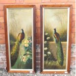A pair of Victorian oil paintings of peacocks, unsigned, 32 x 91.5cm