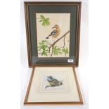 A watercolour goldfinch, 14 x 12cm and a watercolour jay, 29 x 22cm