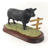A Border Fine Arts Aberdeen Angus bull with fence on plinth base, model L59 304/500, restored