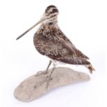 Wood mounted Snipe