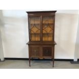 An Edwardian mahogany Regency revival display cabinet, glazed upper section with lower section