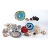 A natural history enthusiast's collection of crystals and marine life, to include an aventurine