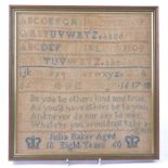 A 19th Century cross stitch sampler, by 'Julia Baker aged Eight Years', dated 1860, featuring the