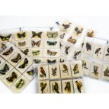 Birds and Butterfly Silk Issues, various issues including American Tobacco Birds Set 1 T35/50