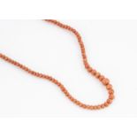 An early 20th Century graduated coral bead necklace, with 9ct gold barrel clasp marked Ciro, 35cm