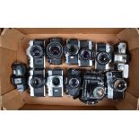 A Tray of SLR Film Cameras and Bodies, brands include Canon (1), Chinon (1), Mamiya (6), Minolta (