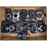 A Tray of SLR Camera Bodies, including Canon T50, EOS 300, 500, 1000f, 5000, Konica TC-X, Chinon CE,