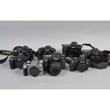 Nikon and Canon DSLR Bodies, a Canon EOS 7D with EF-S 18-55mm f/3.5-5.6 lens, an EOS 10D body, an