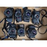 A Tray of SLR Cameras, a Cosina CT-1A, with 50mm f/2 lens, CS-3, with 28mm f/2.8 lens, C1, with 35-