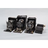 Three Folding Plate Cameras, a Wirgin plate camera, shutter working, body G, with Meyer Goerlitz