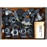 A Tray of SLR Camera Bodies, Including Nikon F80 (3), F401, F70, F65 (2), N5005, Canon EOS 50e,