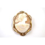 A 19th Century shell cameo, and pinchbeck brooch with the profile of a classical female, 5.5cm x