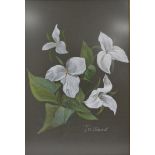 Still life print of orchids, signed lower right, 70cm x 48cm together with a large still life of
