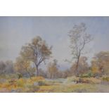 British School, watercolour on paper, Woodland Scene, inscribed on label verso Russel Dawson, 35cm x