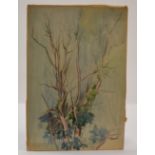 Winifred Francis (British 1915-2009), watercolour and graphite on card, A Study of Branches,