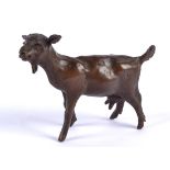 Rosalie Johnson (Contemporary British) a bronze study of a strolling goat, a limited edition of