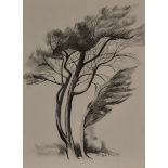Winifred Francis (British 1915-2009), charcoal on paper, A Study of Trees in a Breeze, signed