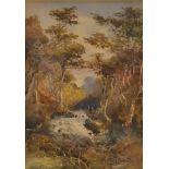 W H Mander (1850-1922), watercolour, woodland landscape with river, signed and dated lower right