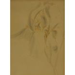 19th Century sepia and wash, on paper, study of an orchid, 15cm x 11cm fair