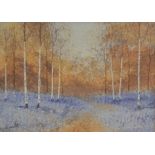 M Grant, 20th Century, watercolour, bluebells in woodland of silver birch trees, signed and dated 91