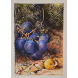 19th Century watercolour, on paper, in the manner of Oliver Clare, still life grapes, 17cm x 13cm