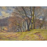 Hans Gyde Peterson (1862-1943), oil on canvas, Woodland Glade' 54cm x 75cm Good