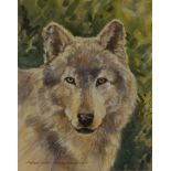 Wayne Castle, watercolour, Timber Wolf, 22cm x 18cm