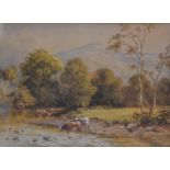 E Law, late 19th Century, cattle watering in river, signed lower right, 22cm x 29cm