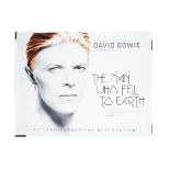 David Bowie Quad Film Poster, David Bowie The Man Who Fell To Earth (1976) UK Quad cinema poster for