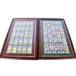 A collection of framed and glazed trade cards, comprising Grand National Winners, Hollywood