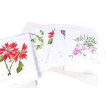 A large collection of Portfolio prints from Original watercolours of flowers by Sheila Morgan,