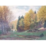 Fritz Müller-Landeck (German, 1865-1942) oil on canvas, München (Munich) woodland scene with dappled
