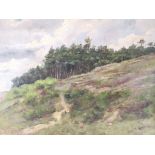 A. Baerens oil on canvas, hillside woodland on a cloudy day. Signed and dated 1916 lower right. 71cm