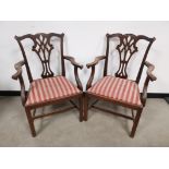 Pair of mahogany carver dining chairs, With chippendale style splats and light & dark striped drop