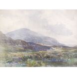 Signed watercolour of a highlands marsh scene, indistinctly signed lower left. Framed and glazed.