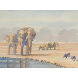 Peter Mills, watercolour on paper, family of African elephants in the desert, signed lower right,