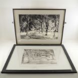 Winifred Francis, ink on paper, a view down the avenue of trees, signed lower right, framed and