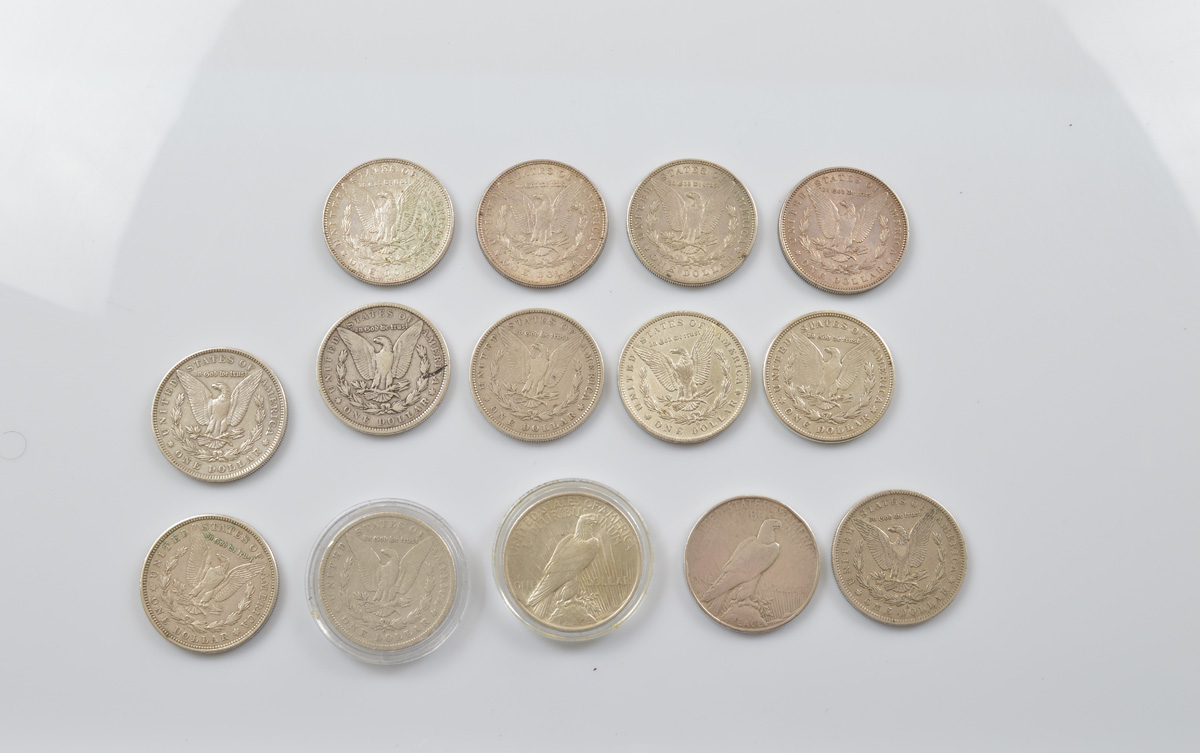 A collection of fourteen Morgan head and Liberty United States of America dollars, earliest 1890,