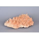 Calcite, a spray of Scalenohedral (Dogtooth) Calcite, the crystals of beige-brown colour, discovered