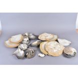 Ostreidae Family, an assortment of full and half oysters, including winged oysters (Pteria