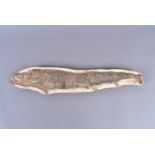 Late Jurassic/ early Cretaceous Period, a fossilised Vinctifer fish from Brazil, approx. 50cm in
