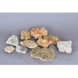 United Kingdom, specimens of rock and minerals from around the United Kingdoms, comprising Galena (