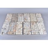 A very large collection of miniature shell specimens, in 23 trays and numerous boxes, covering