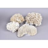 Four pieces of coral, including Sarcophyuton Trocheliophorum (Velvet Leather Coral), Acropora