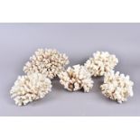 Five pieces of natural coral, possibly brownstem coral, different sizes, ranging 19cm to 28cm