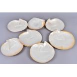 A group of seven natural Mother of Pearl shell specimens, with been removed and cleaned from the